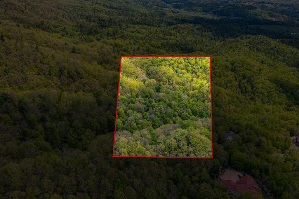 0 Dugger Branch Butler, TN 37640 - Photo 11 of 15 a view of a lake