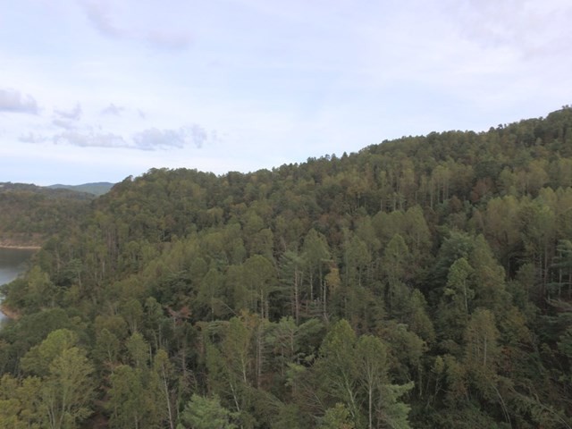 0 Dugger Branch Butler, TN 37640 - Photo 12 of 15 a view of a city with lush green forest