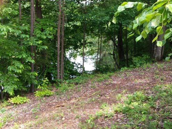 0 Dugger Branch Butler, TN 37640 - Photo 3 of 15 a view of a yard with plants and trees