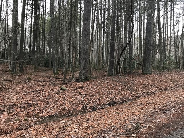 0 Dugger Branch Butler, TN 37640 - Photo 6 of 15 a view of outdoor space with lots of trees