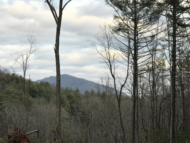 0 Dugger Branch Butler, TN 37640 - Photo 7 of 15 a view of a backyard of the house
