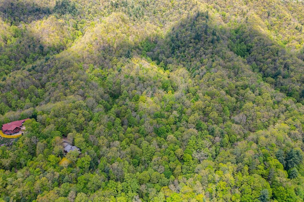 0 Dugger Branch Butler, TN 37640 - Photo 10 of 15 a view of a house with a tree