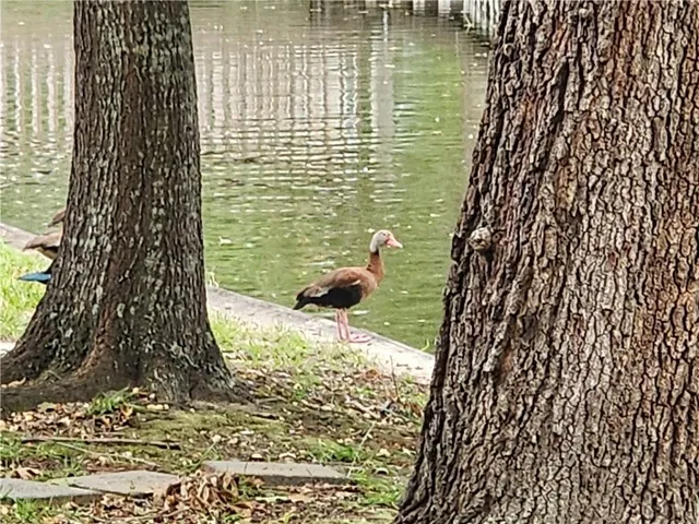 $250,000 | 745 Carondelet Street, Mandeville, LA 70448