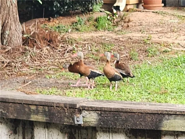 $250,000 | 745 Carondelet Street, Mandeville, LA 70448