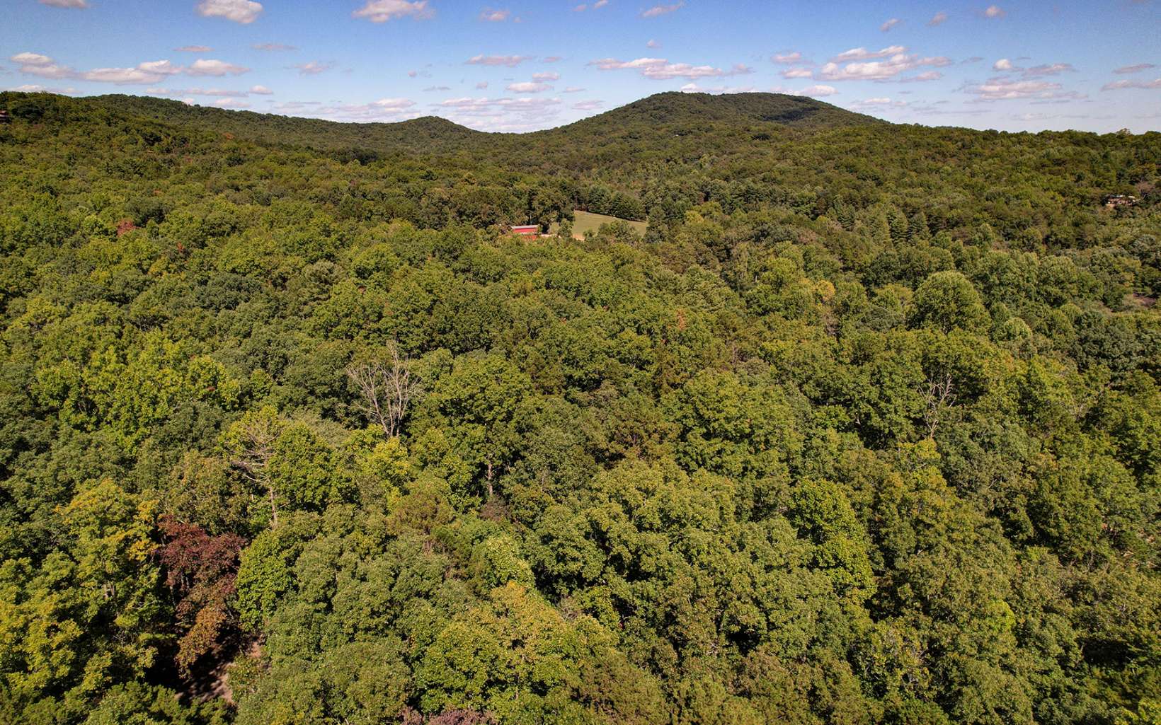 Toccoa Farm Road Morganton, GA 30560 - Photo 1 of 17 Main View