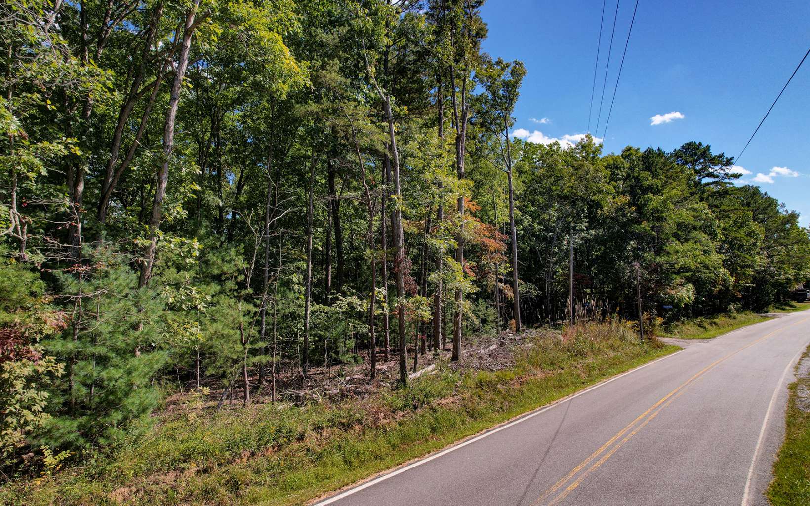 Toccoa Farm Road Morganton, GA 30560 - Photo 3 of 17 Additional View