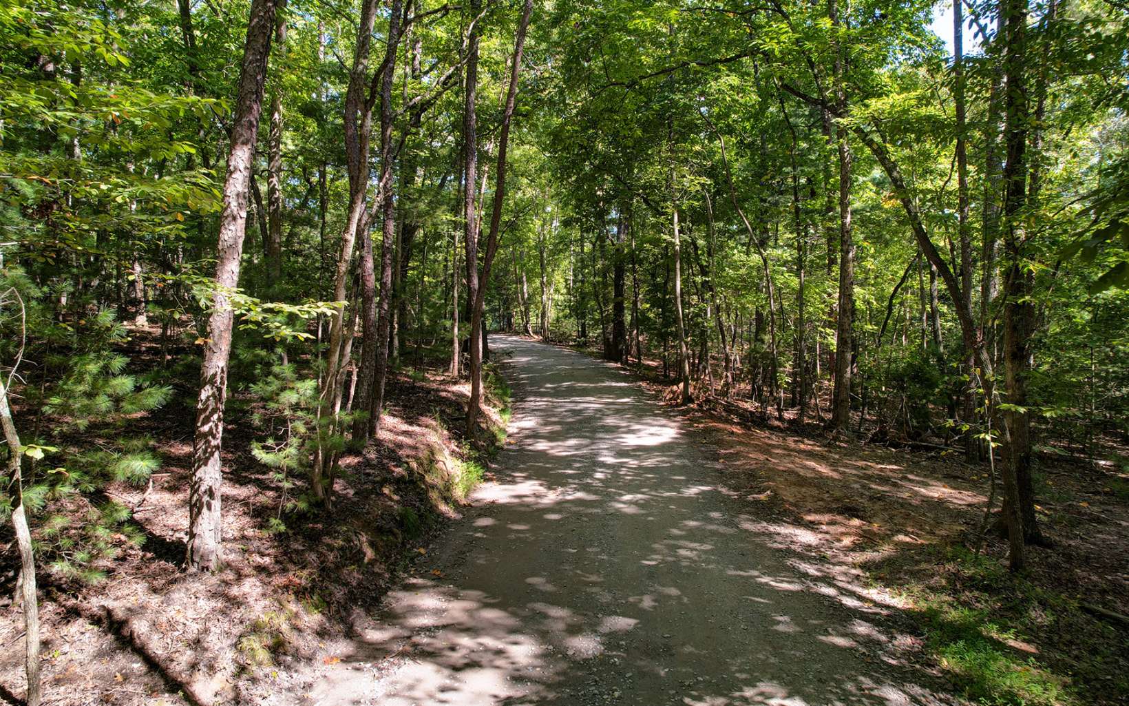 Toccoa Farm Road Morganton, GA 30560 - Photo 5 of 17 Additional View