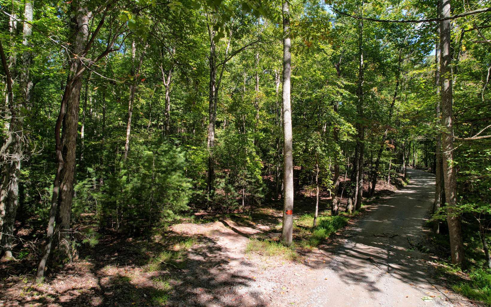 Toccoa Farm Road Morganton, GA 30560 - Photo 6 of 17 Additional View