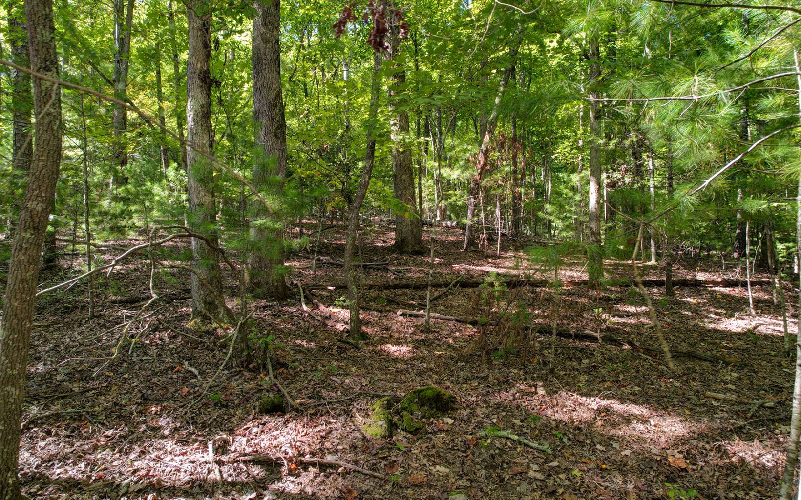 Toccoa Farm Road Morganton, GA 30560 - Photo 8 of 17 Additional View