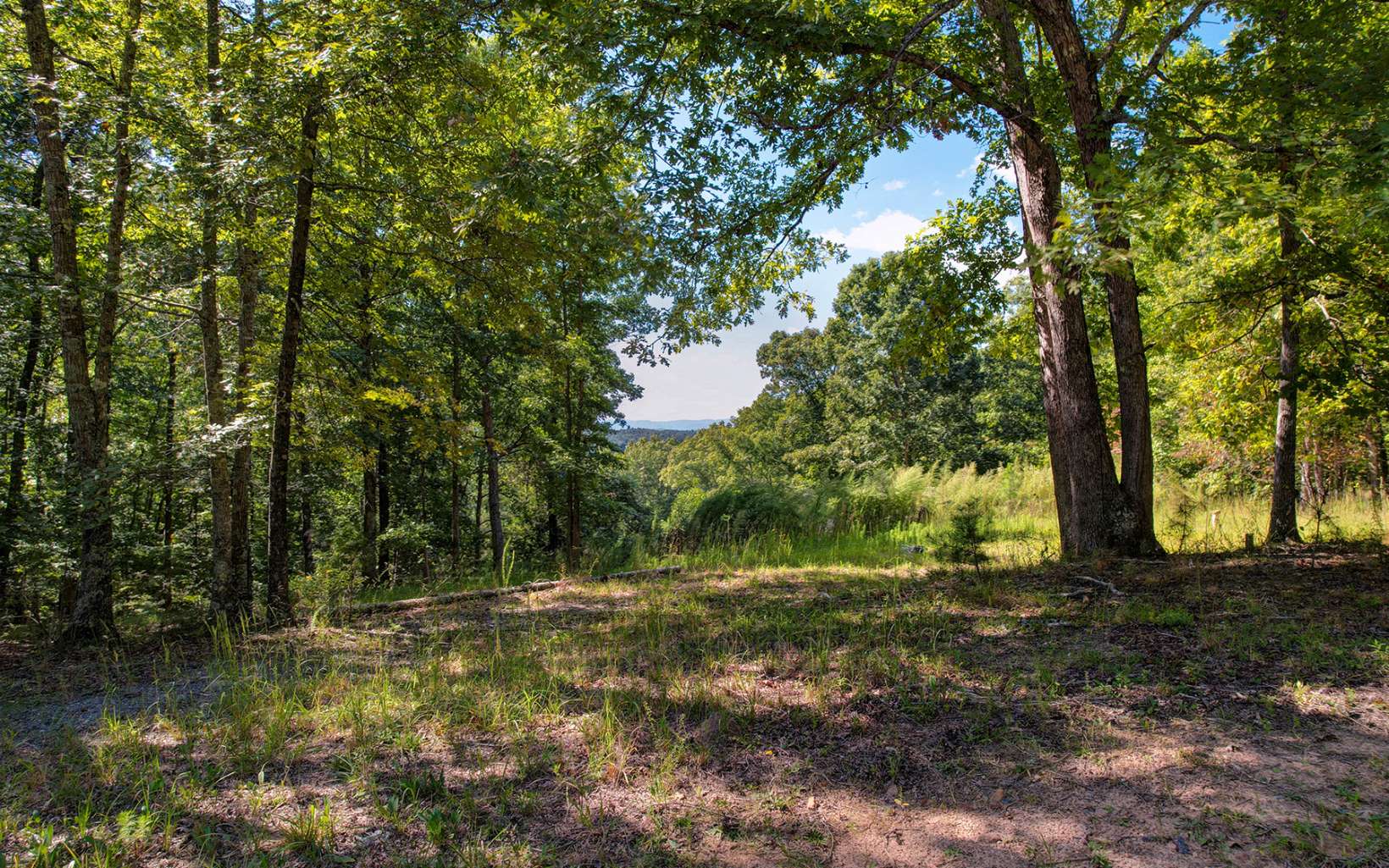 Toccoa Farm Road Morganton, GA 30560 - Photo 9 of 17 Additional View