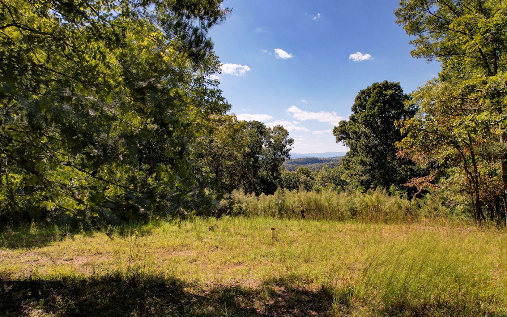 Toccoa Farm Road Morganton, GA 30560 - Photo 10 of 17 Additional View