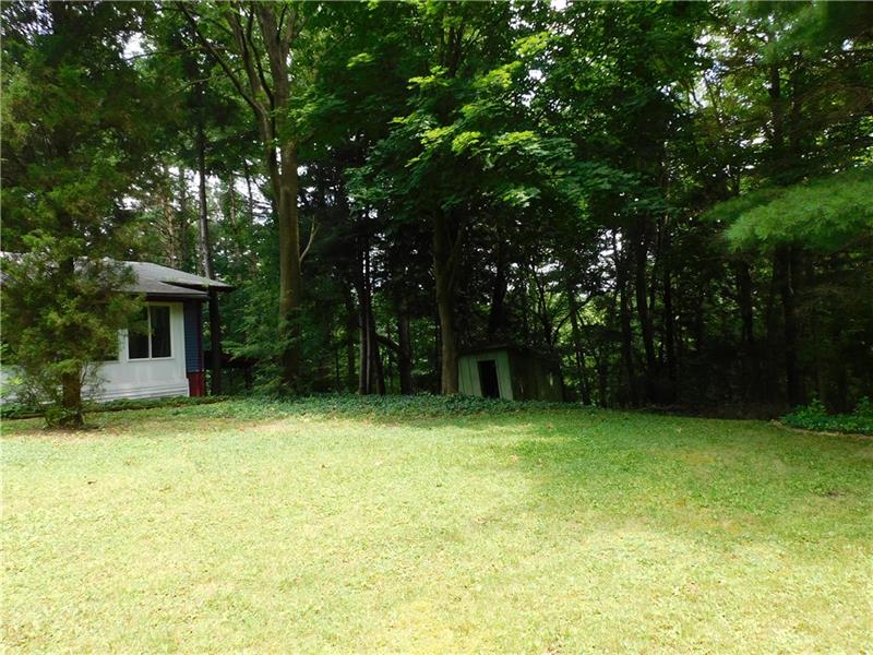 968 Chapel Road Monaca, PA 15061 - Photo 5 of 23 Secluded backyard to be enjoyed