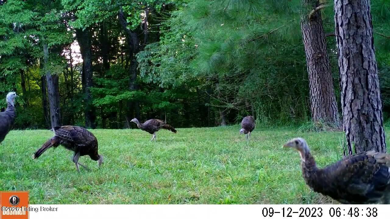 7985 Knifley Road Columbia, KY 42728 - Photo 12 of 41 IMG_3055