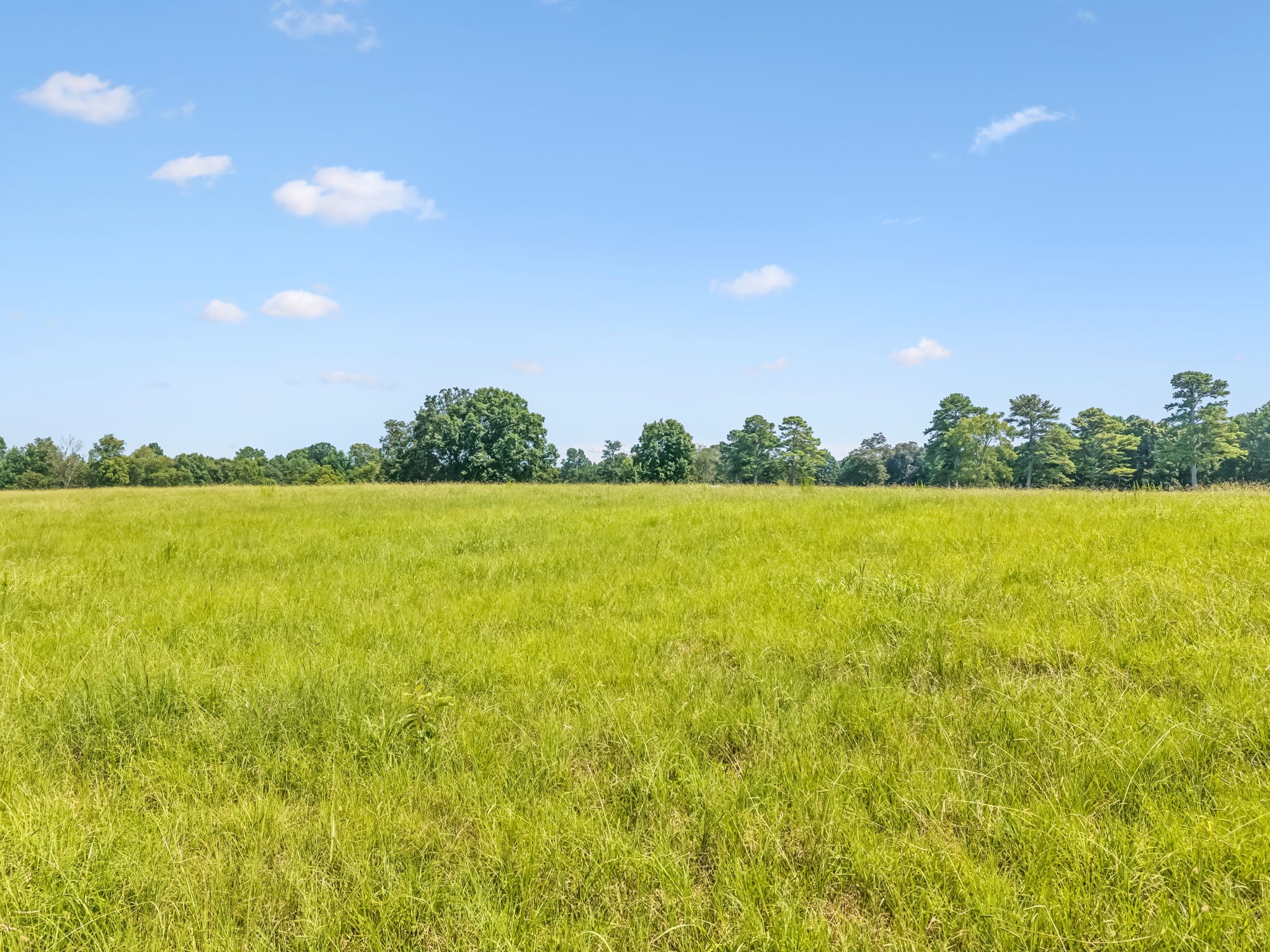 2362 Fall River Road Goodspring, TN 38460 - Photo 68 of 73 Gallery Image 68