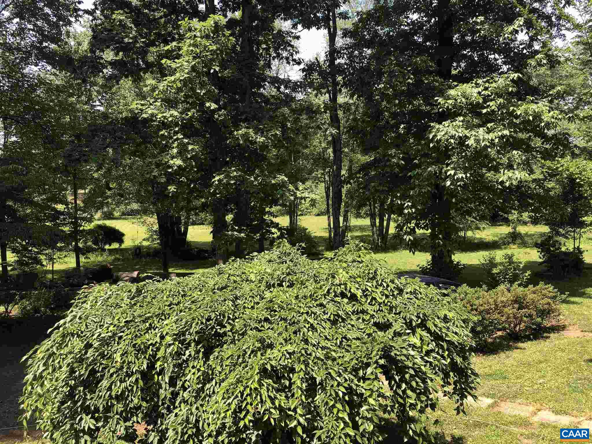 583 Rippin Run Road Ruckersville, VA 22968 - Photo 23 of 28 a picture of tree