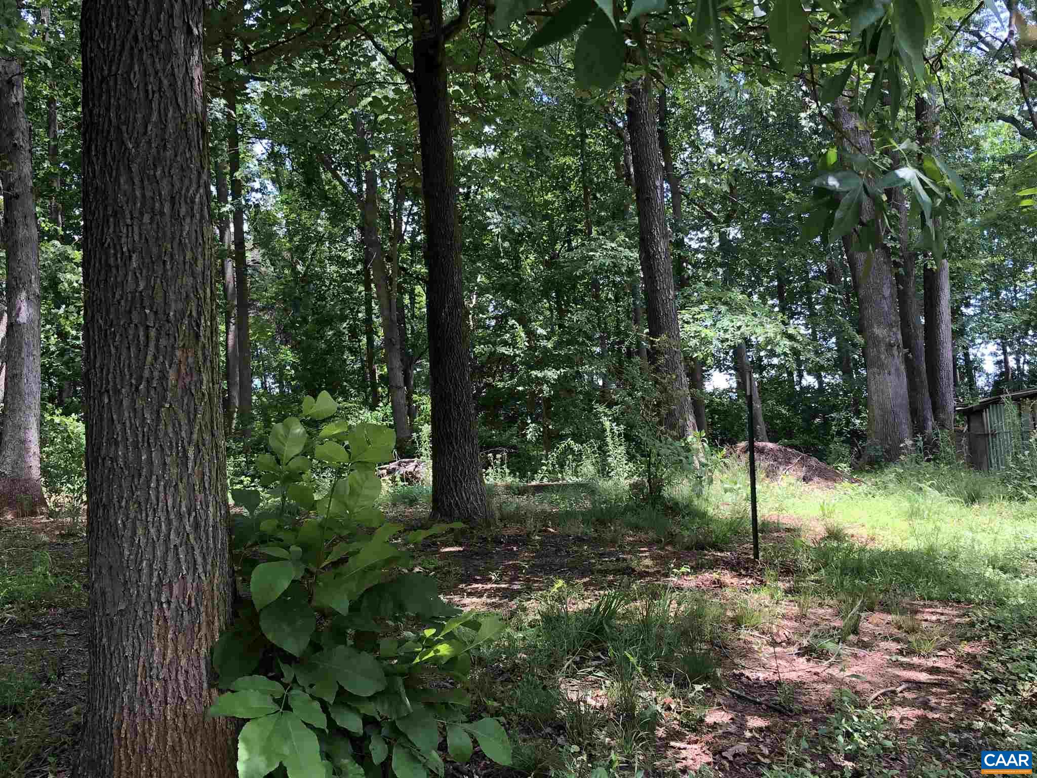 583 Rippin Run Road Ruckersville, VA 22968 - Photo 24 of 28 a view of a tree in a yard with large trees