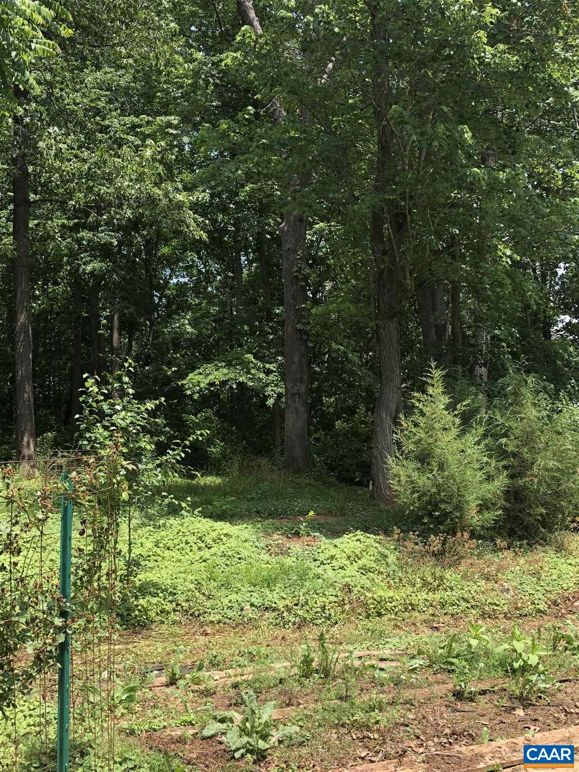 583 Rippin Run Road Ruckersville, VA 22968 - Photo 27 of 28 a view of outdoor space and a yard