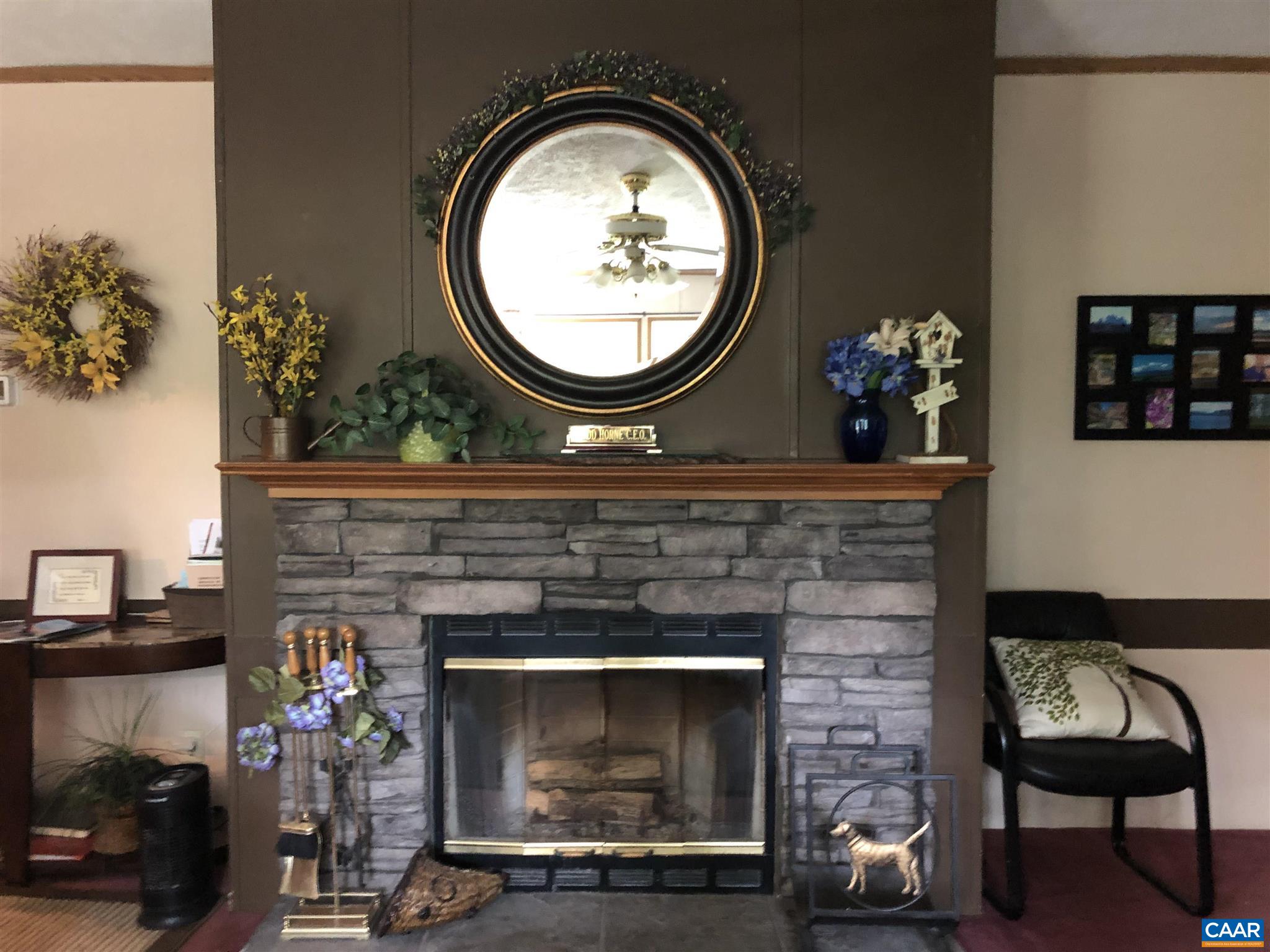 583 Rippin Run Road Ruckersville, VA 22968 - Photo 3 of 28 a living room with a fireplace a potted plant and a fireplace