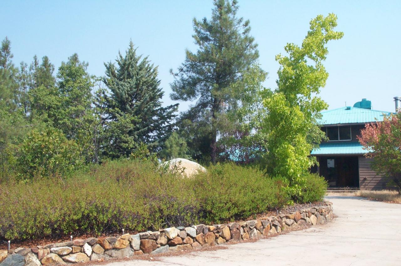 15577 Gas House Hill Road Redding, CA 96087 - Photo 19 of 21 Landscaping