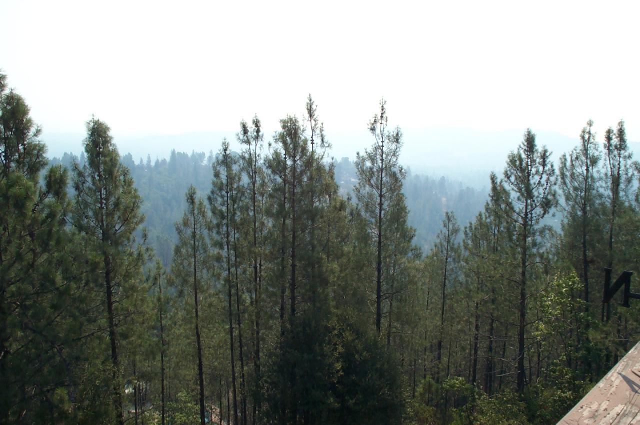 15577 Gas House Hill Road Redding, CA 96087 - Photo 20 of 21 If it were a clear day