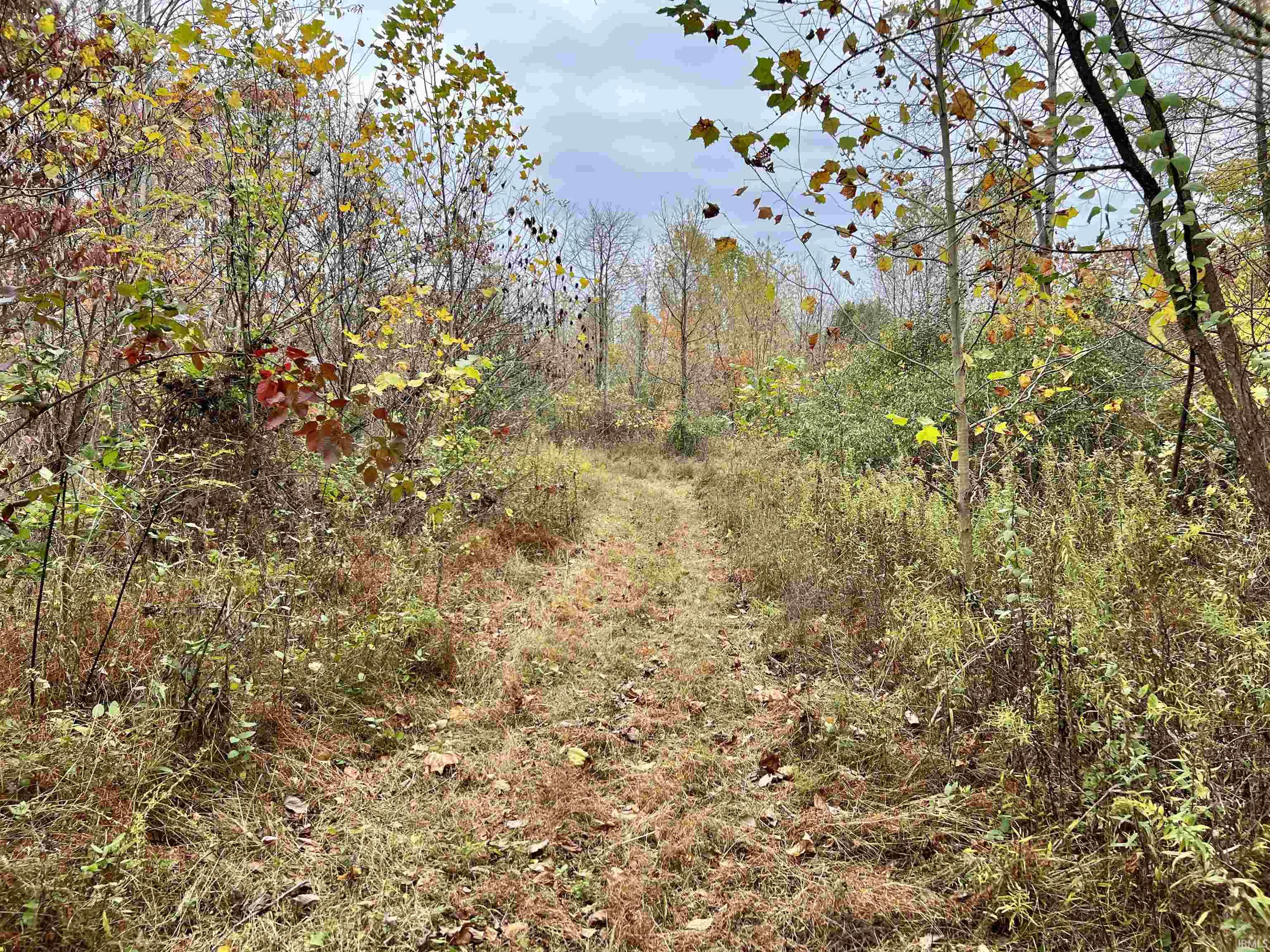 Rush Creek Road Salem, IN 47167 - Photo 13 of 36
