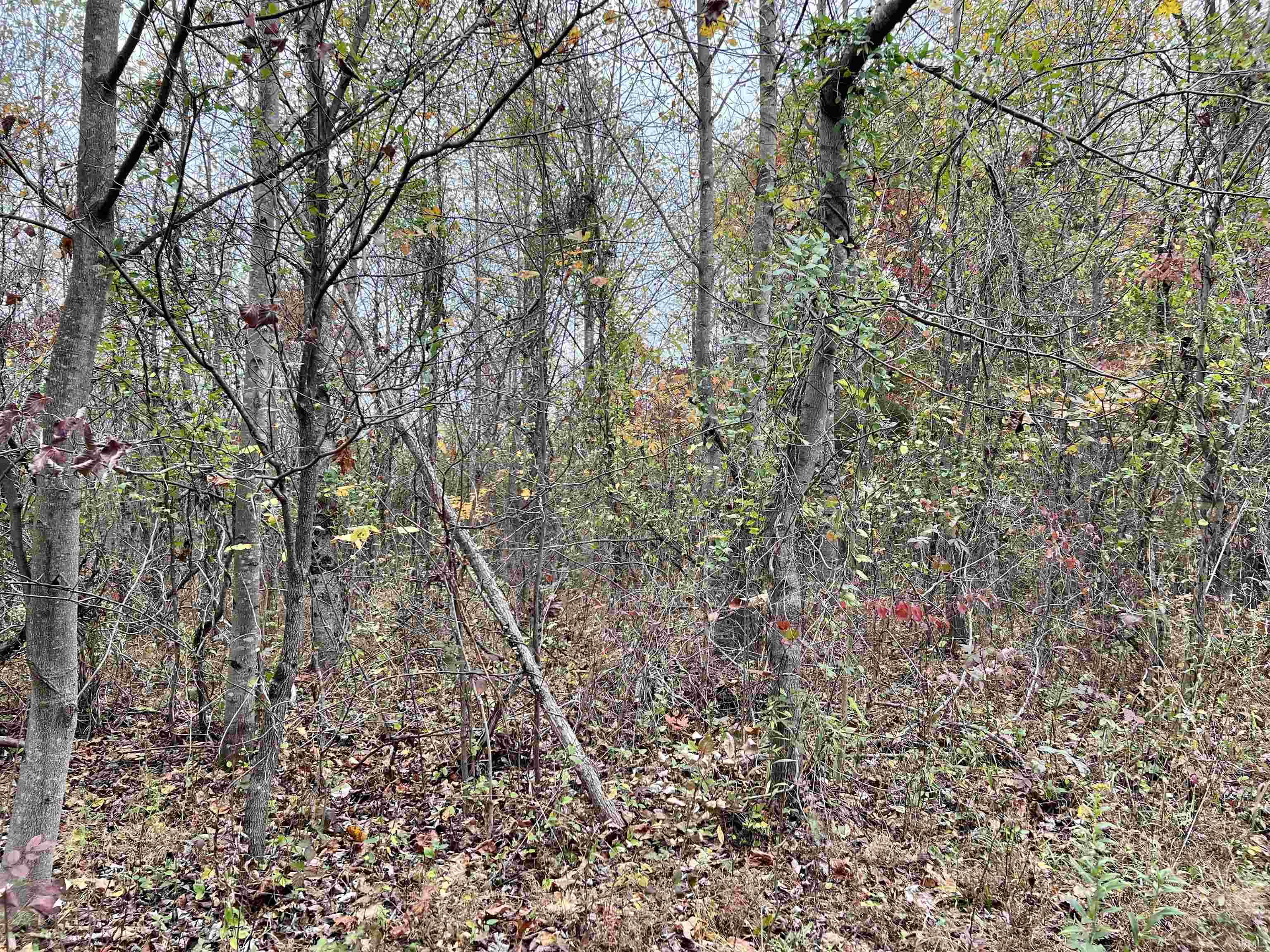 Rush Creek Road Salem, IN 47167 - Photo 15 of 36