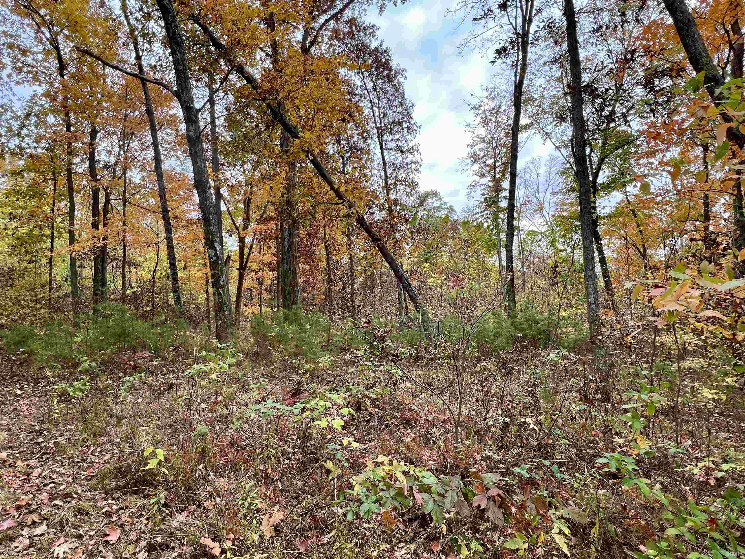Rush Creek Road Salem, IN 47167 - Photo 18 of 36