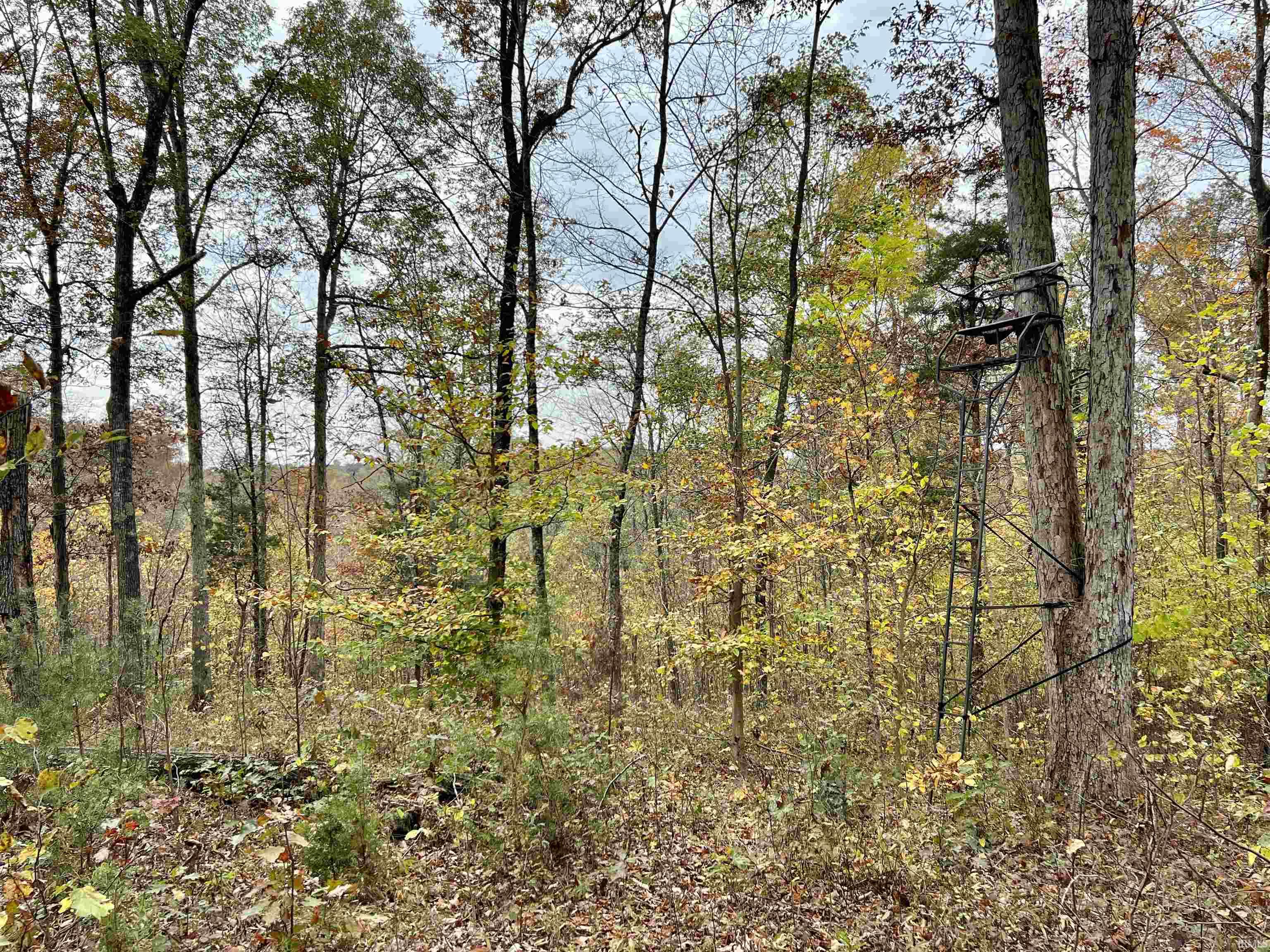 Rush Creek Road Salem, IN 47167 - Photo 20 of 36