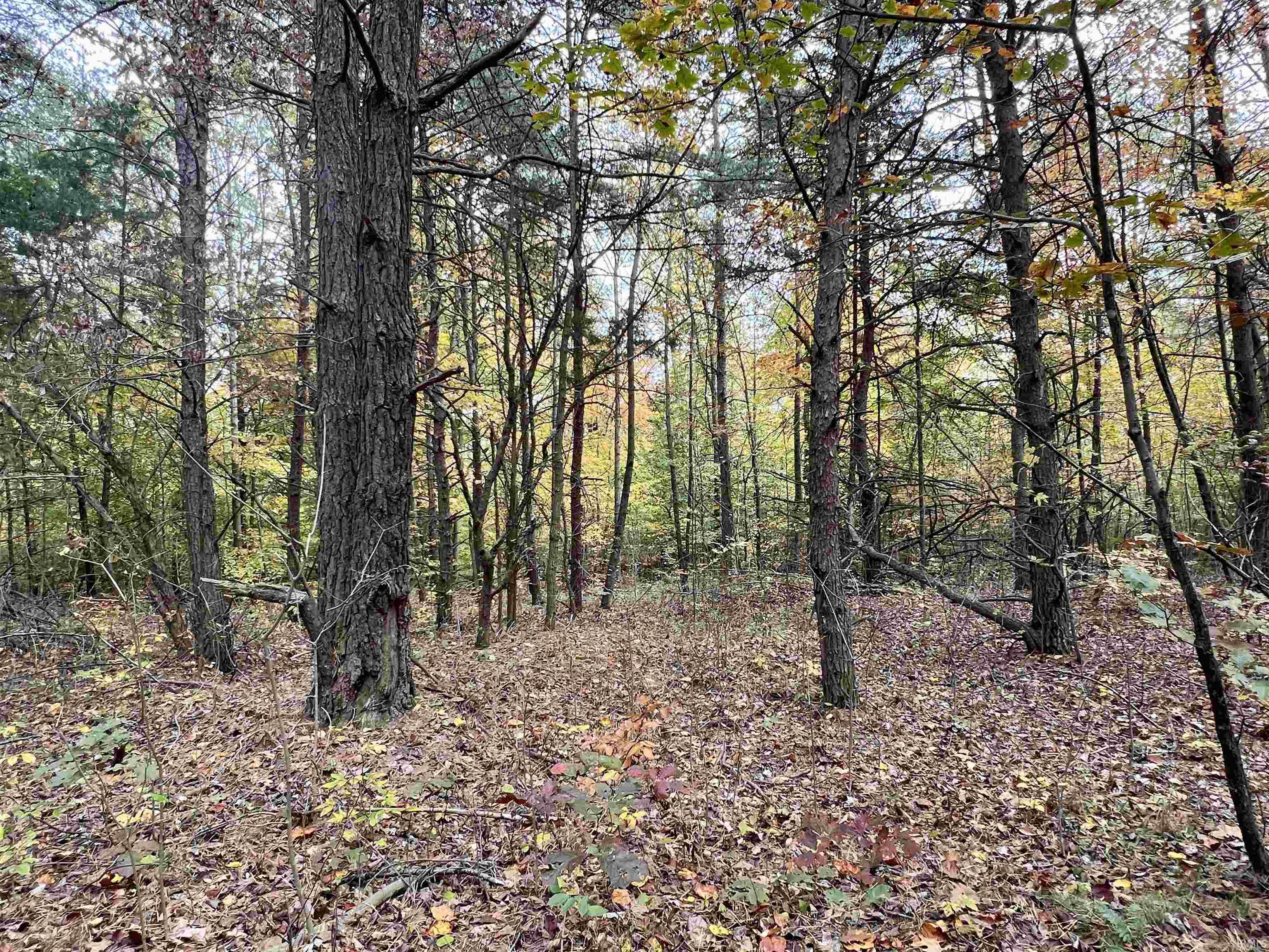 Rush Creek Road Salem, IN 47167 - Photo 24 of 36