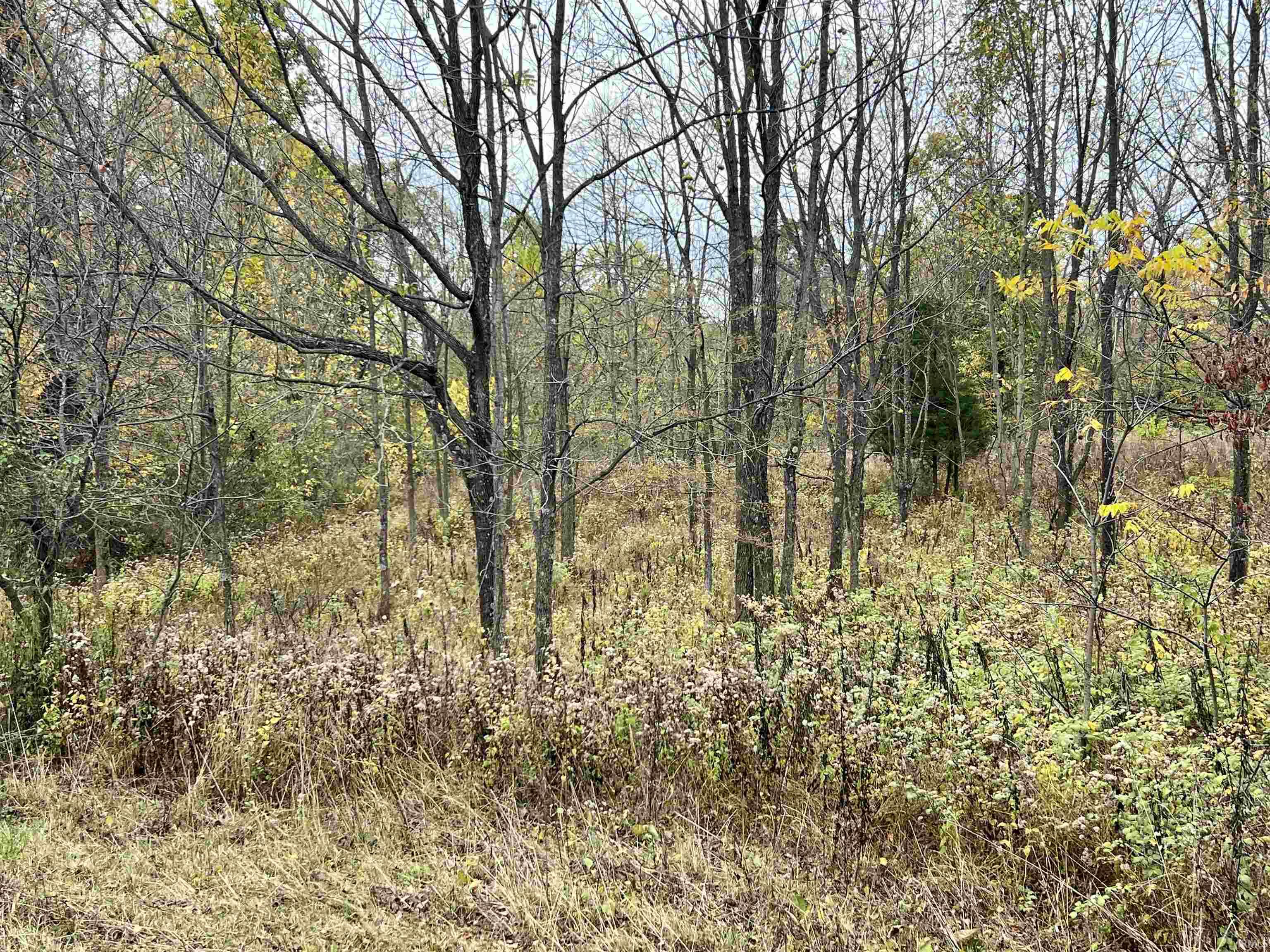 Rush Creek Road Salem, IN 47167 - Photo 9 of 36