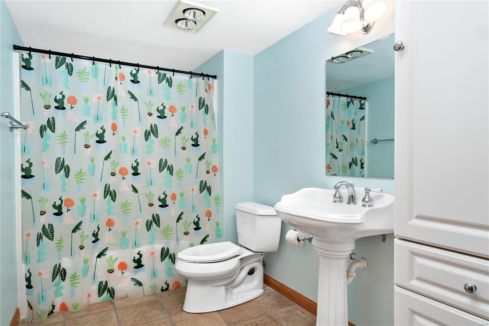 128 Summerlin Ridge O'Fallon, IL 62269 - Photo 51 of 68