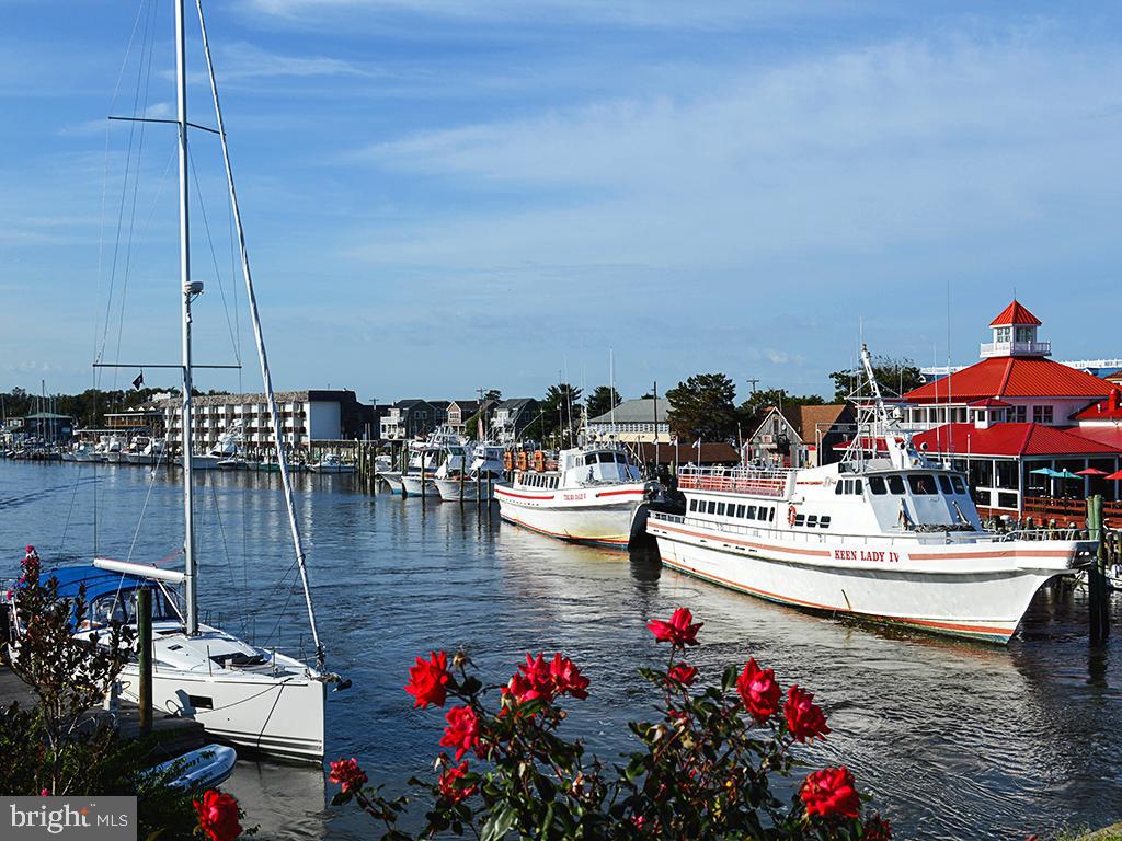 18554 Emerson Way Georgetown, DE 19947 - Photo 41 of 42