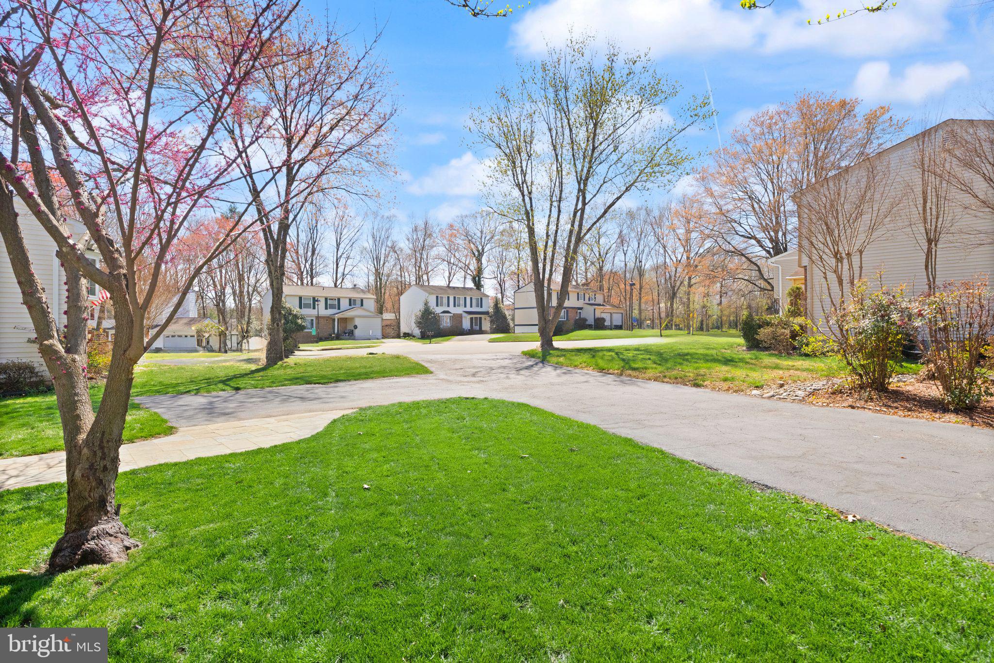 8282 Morning Dew Court Springfield, VA 22153 - Photo 8 of 63
