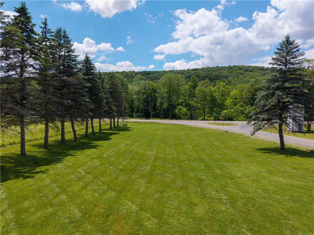 6434 Robbins Road Bath, NY 14810 - Photo 49 of 50