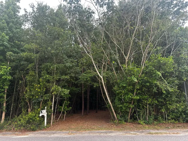 $10,500 | 0 East Roosevelt Street, Elloree, SC 29047