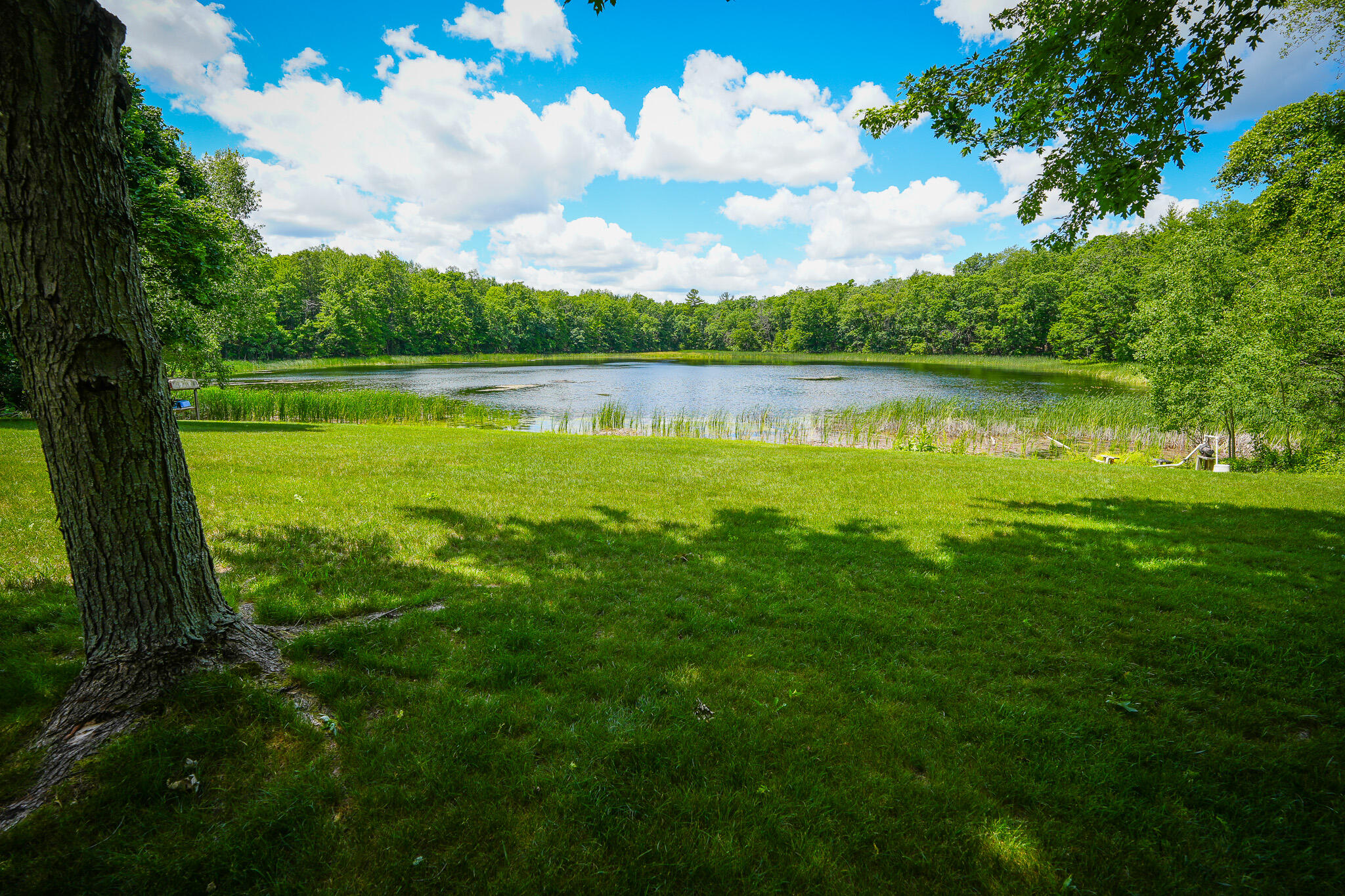 9411 Maple Hill Road Howard City, MI 49329 - Photo 39 of 50 DSC00622