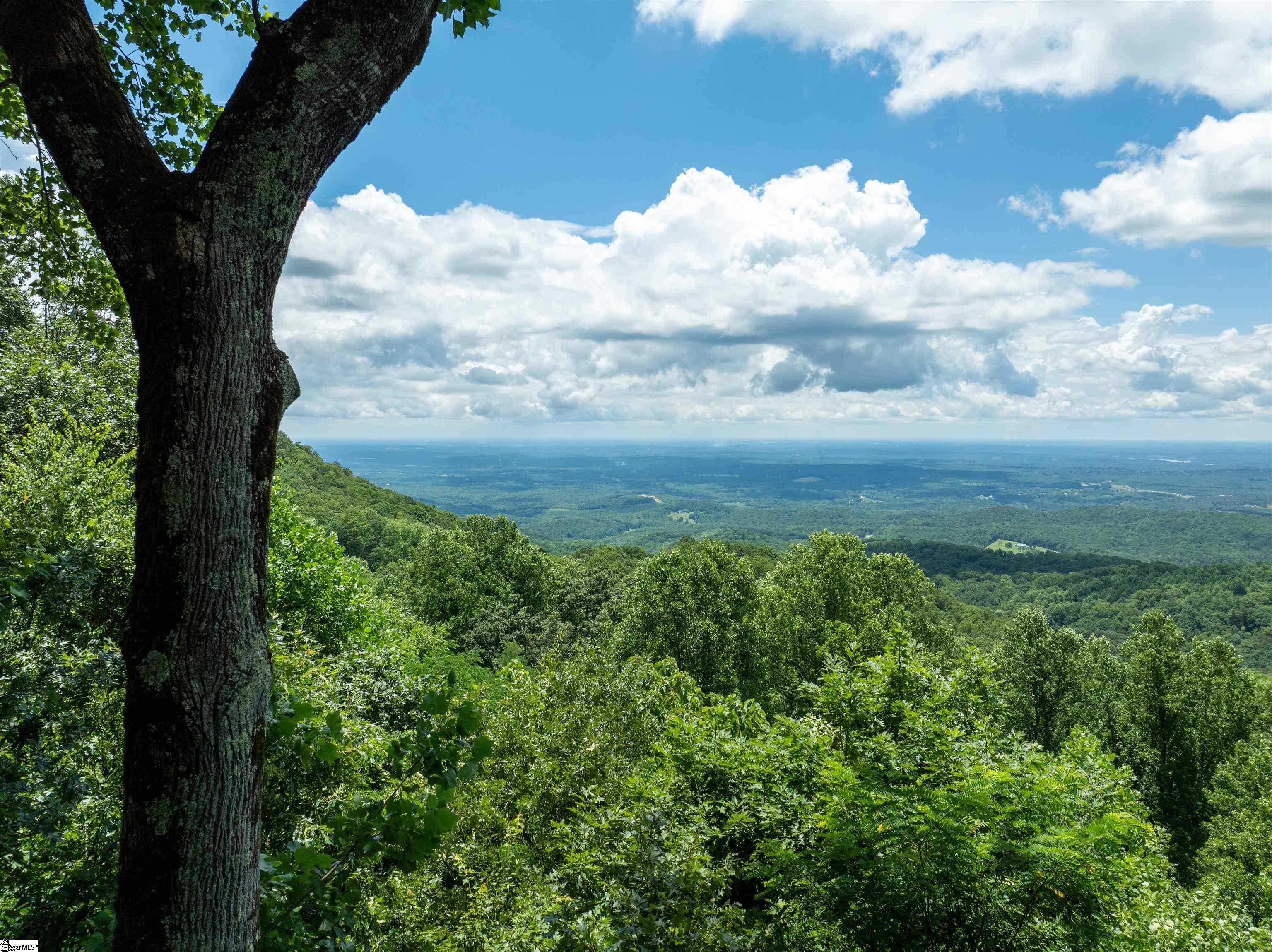 28 Raven Road Landrum, SC 29356 - Photo 2 of 11