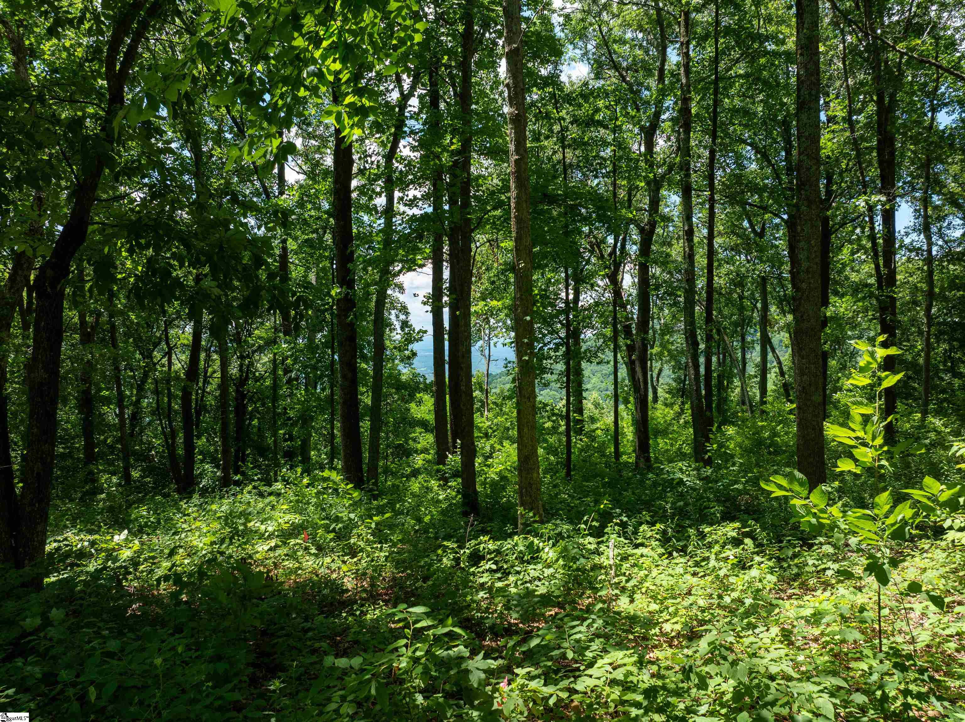 28 Raven Road Landrum, SC 29356 - Photo 3 of 11