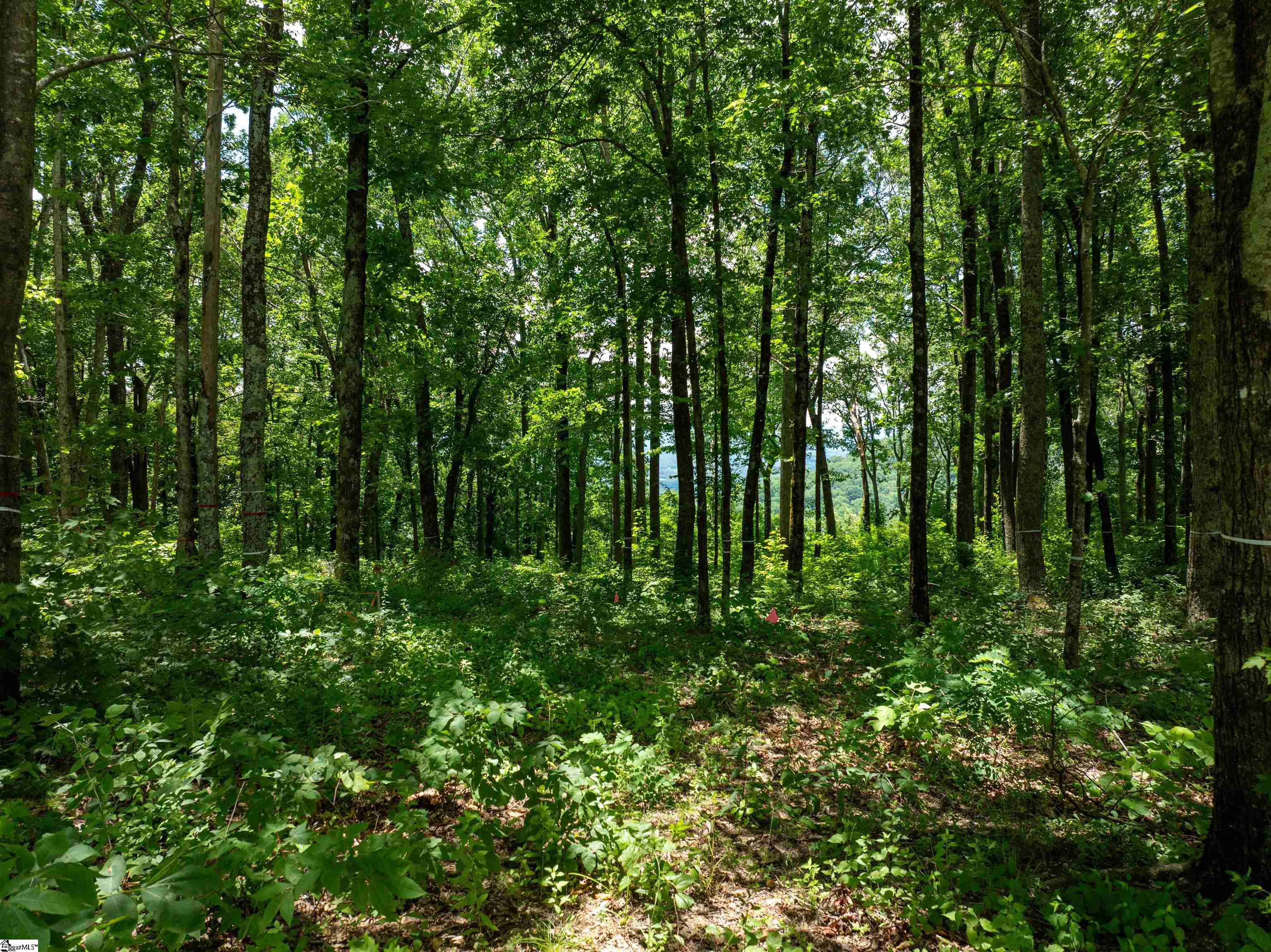 28 Raven Road Landrum, SC 29356 - Photo 4 of 11