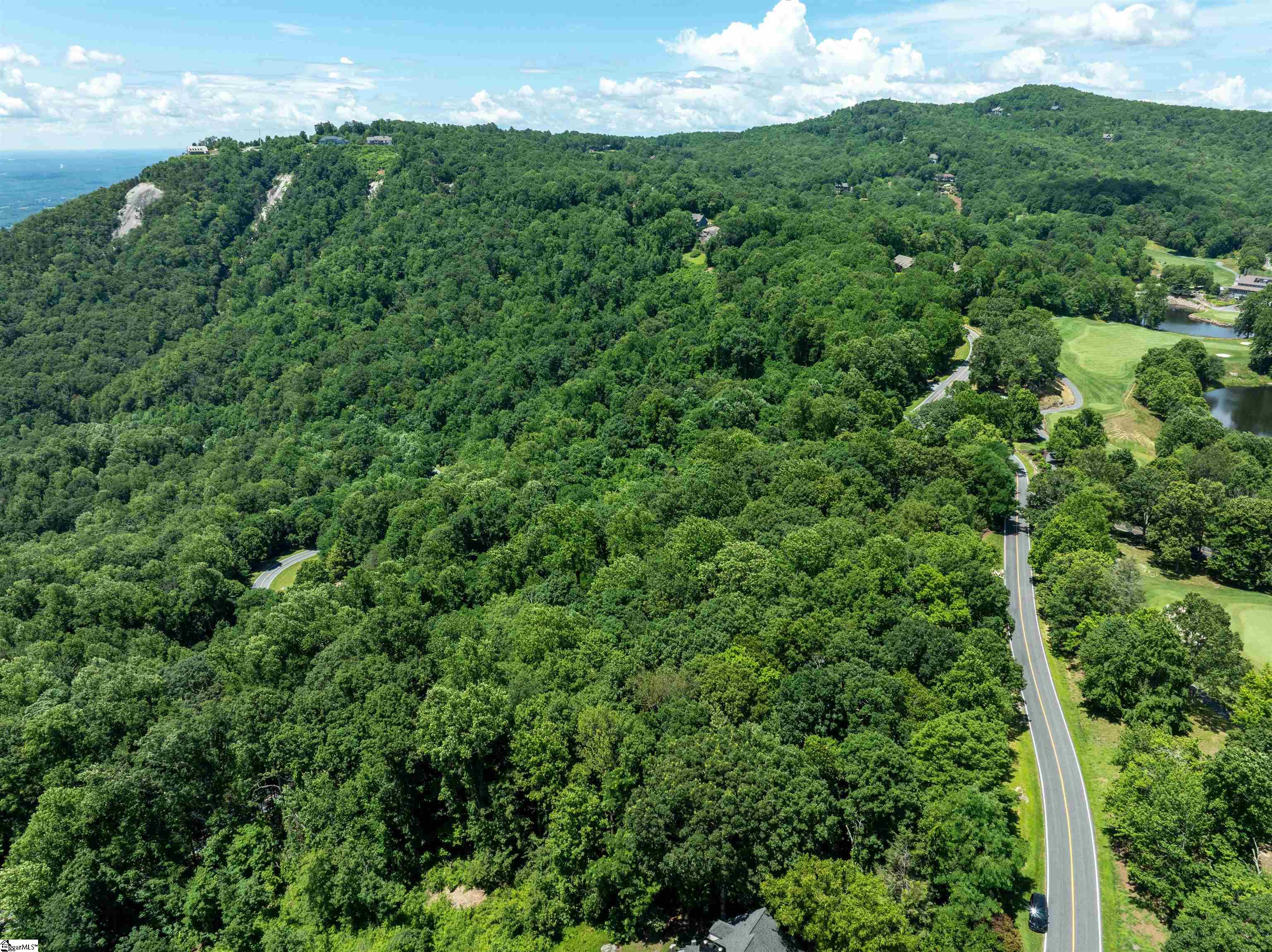 28 Raven Road Landrum, SC 29356 - Photo 6 of 11