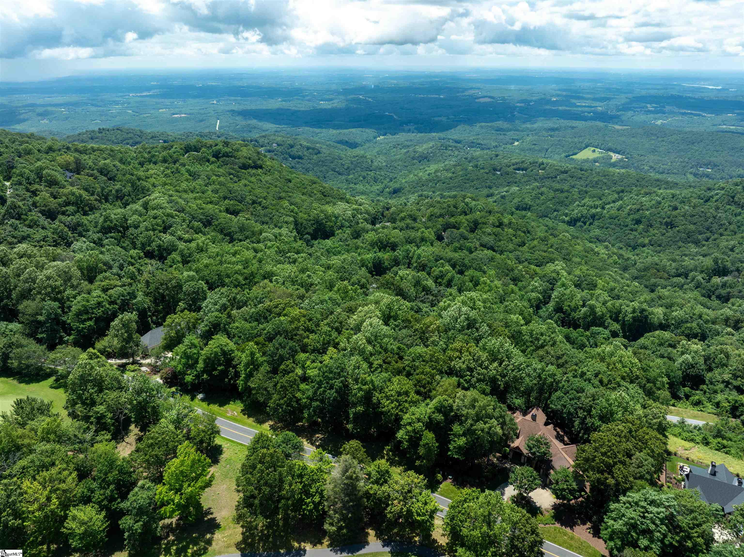 28 Raven Road Landrum, SC 29356 - Photo 7 of 11