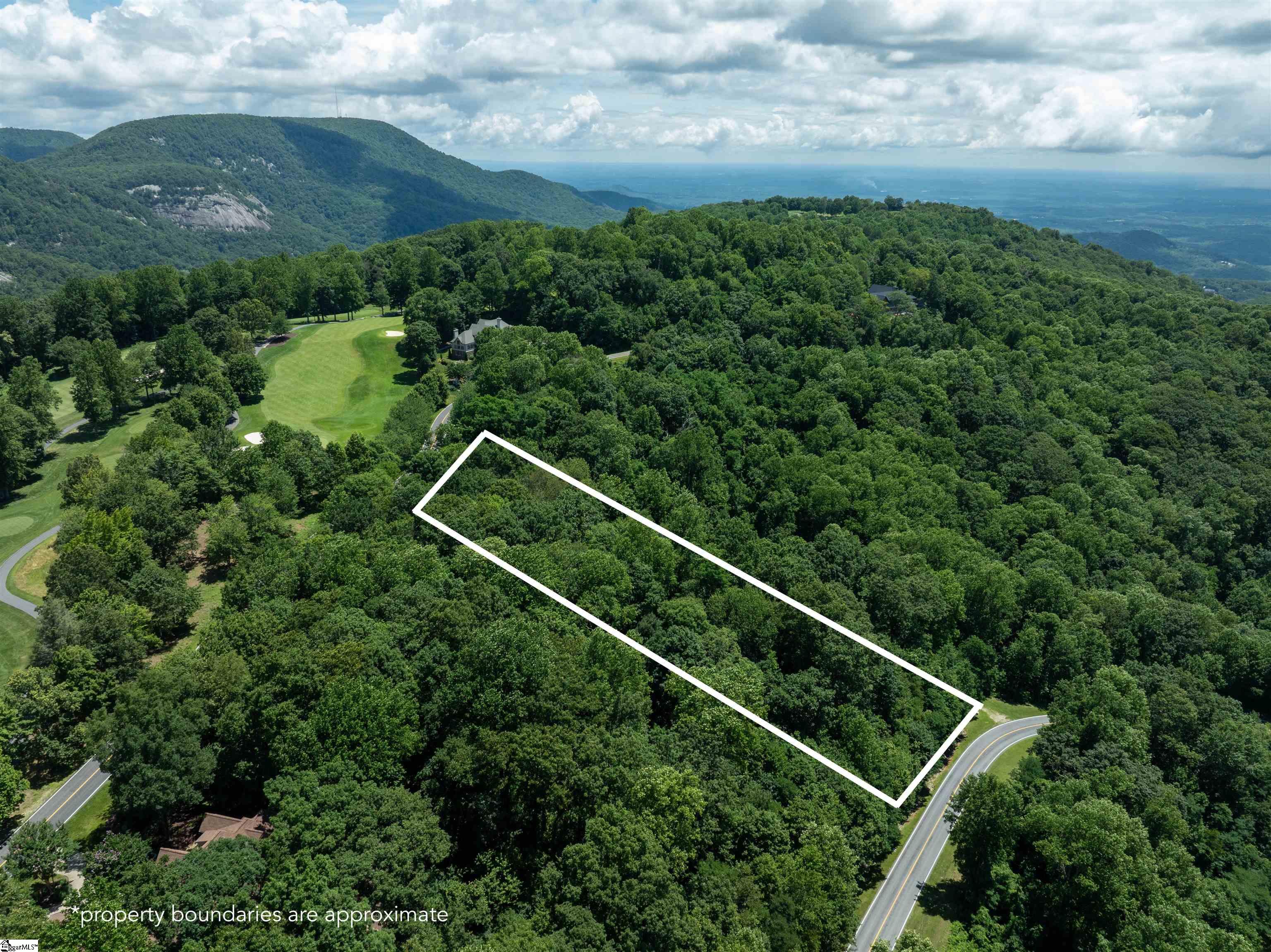 28 Raven Road Landrum, SC 29356 - Photo 9 of 11