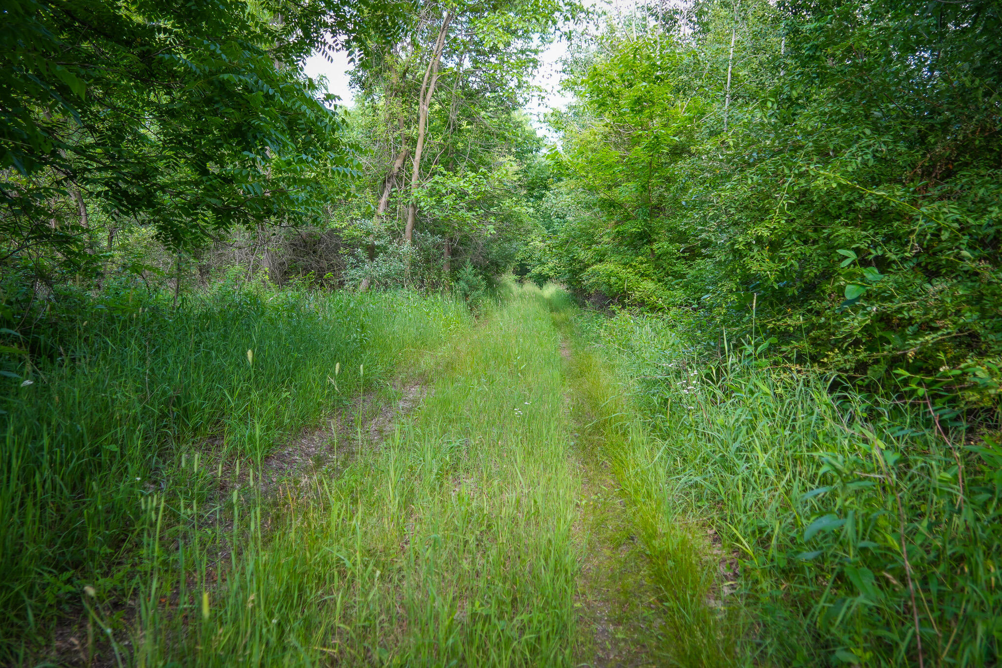 5100 Long Lake Road Reading, MI 49274 - Photo 21 of 63 DSC00717