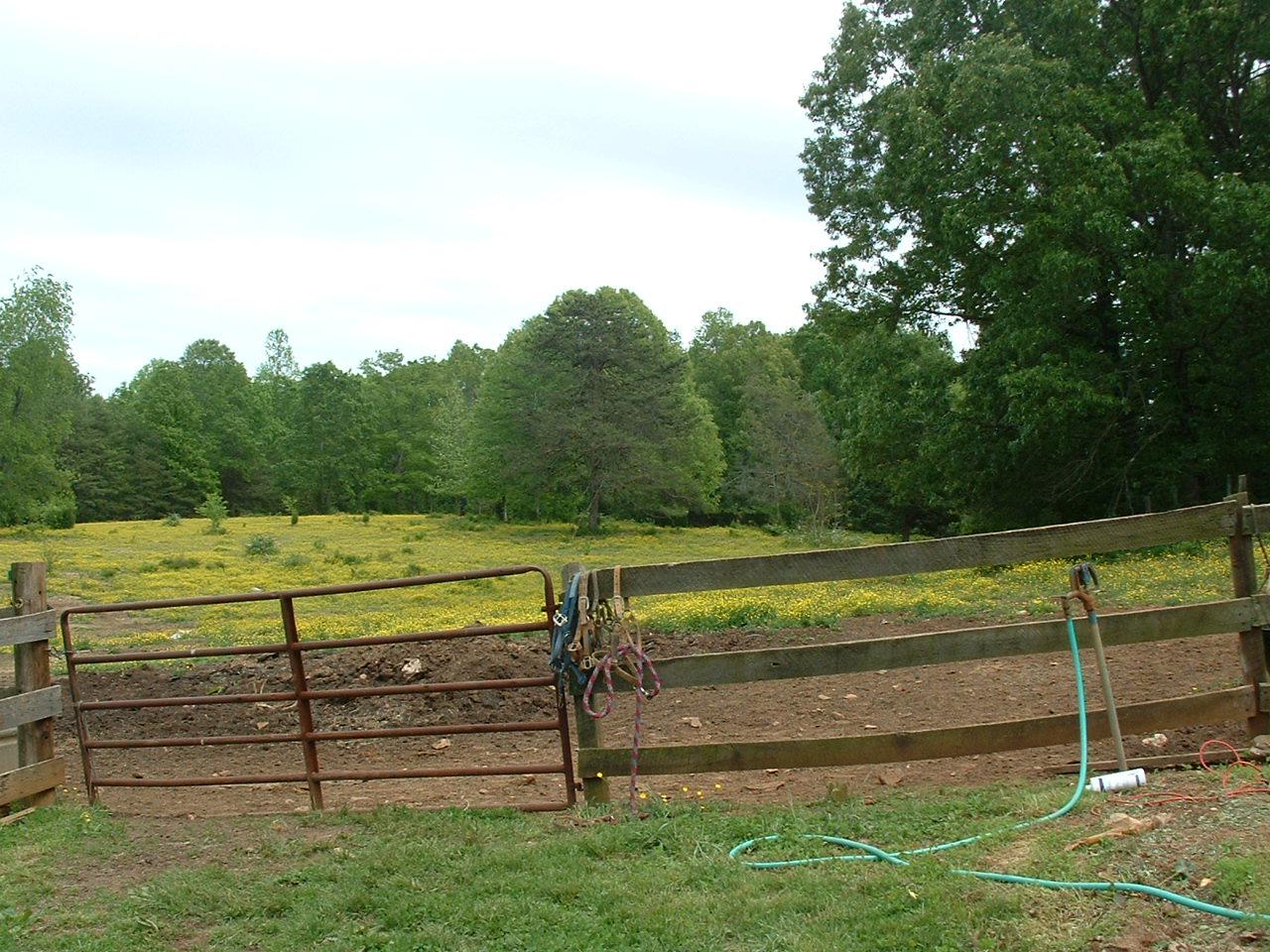 6255 Burnt Chimney Road Wirtz, VA 24184 - Photo 6 of 7 BEAUTIFUL HOME SITE @ WOOD'S EDGE