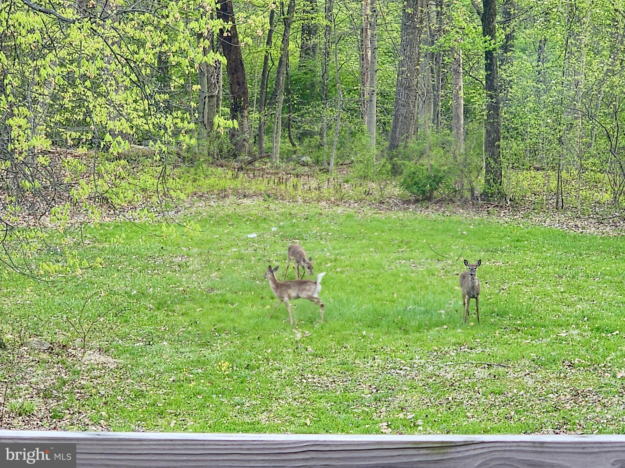 723 Ridge Road Lewisberry, PA 17339 - Photo 53 of 72 Gallery Image 53