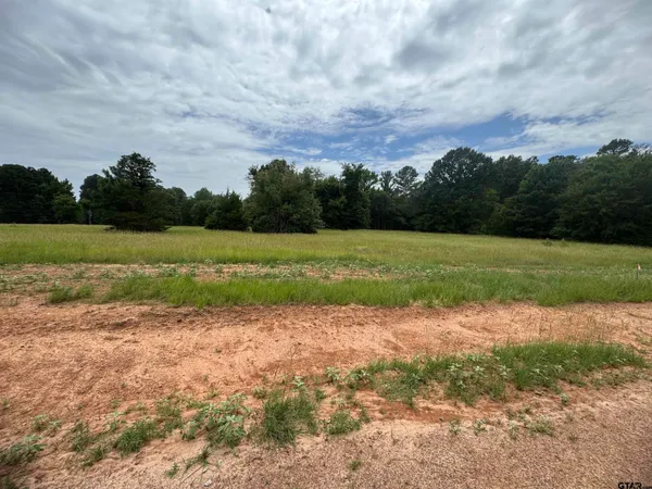a view of a field with beach in background