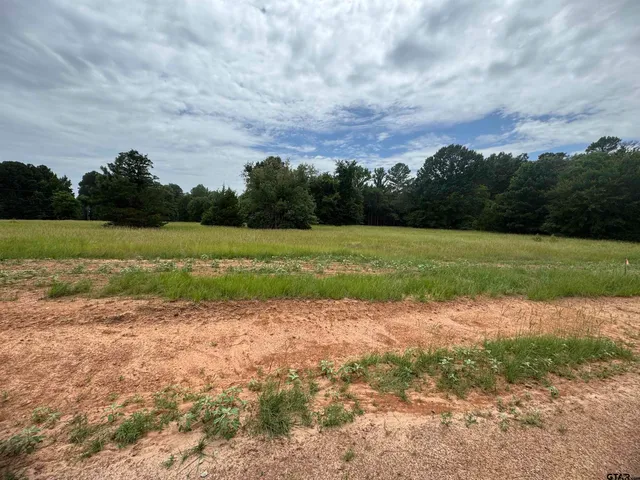 a view of a field with beach in background