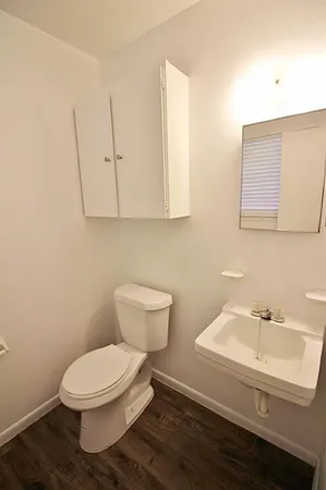 a bathroom with a toilet a sink and mirror