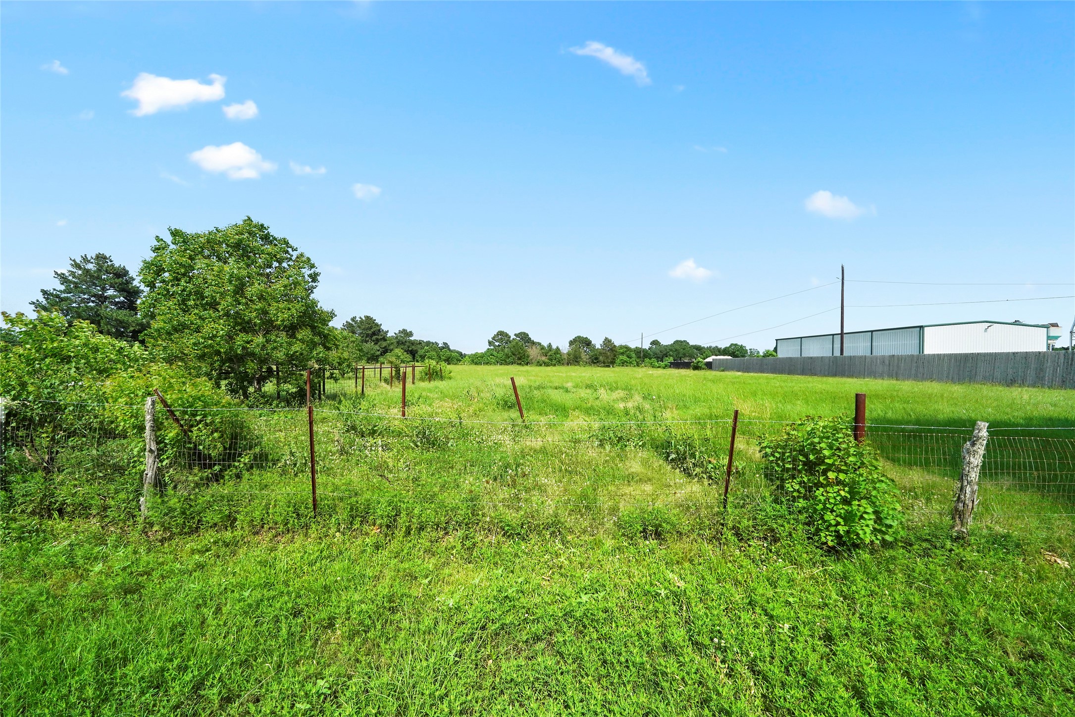 19250 Becker Road Hockley, TX 77447 - Photo 8 of 38 a backyard of a house with lots of green space and trees