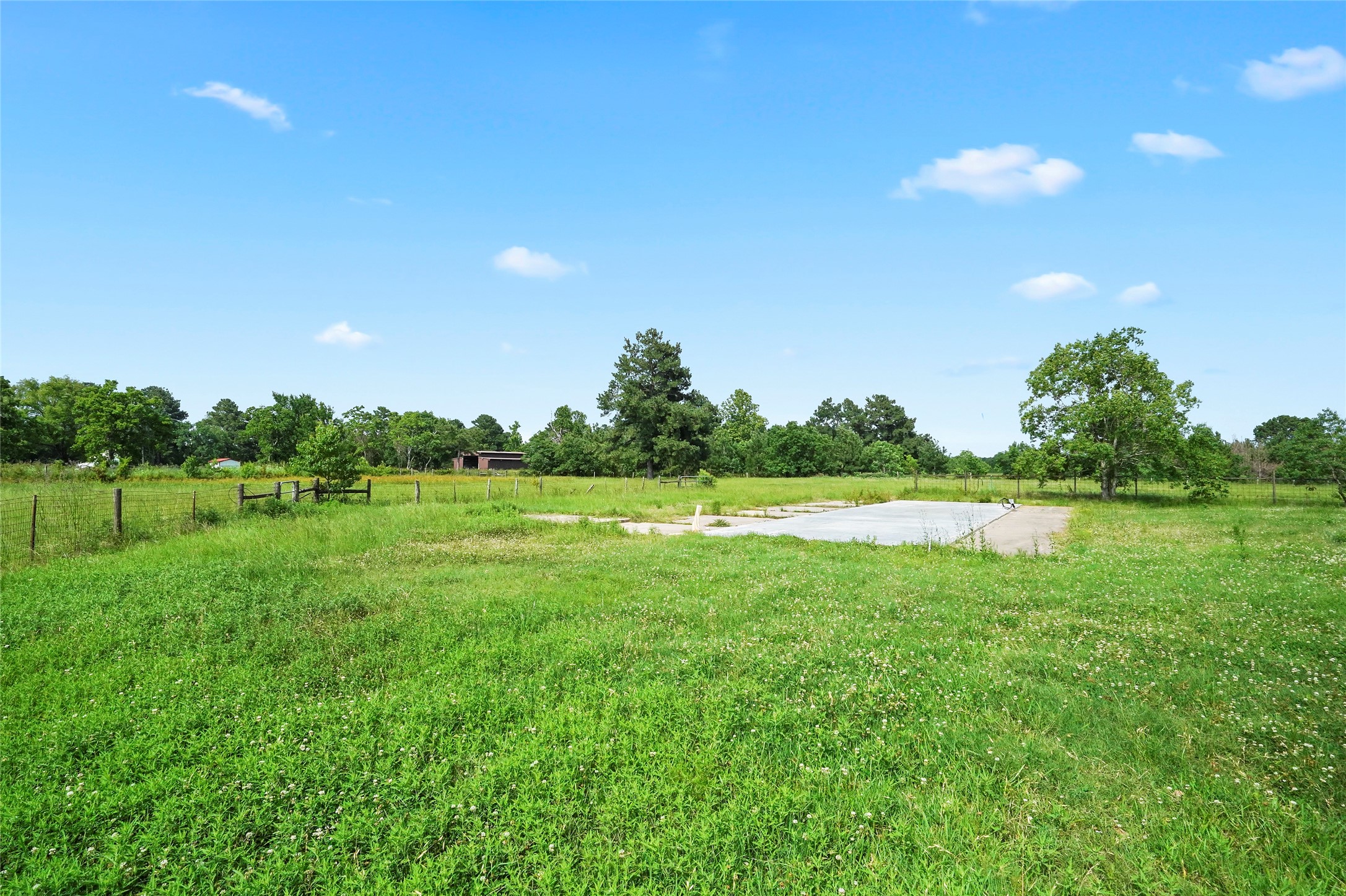 19250 Becker Road Hockley, TX 77447 - Photo 10 of 38 Expansive fenced acreage offers open pasture views and room to roam, with a concrete slab ready for your future barn or outbuilding.